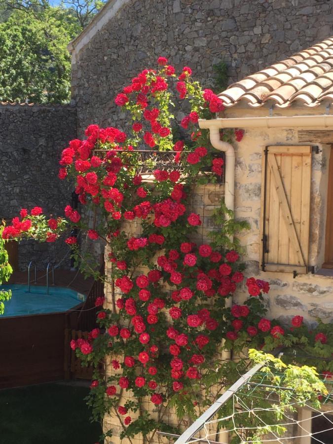 Holidays In Lagrasse Exteriér fotografie